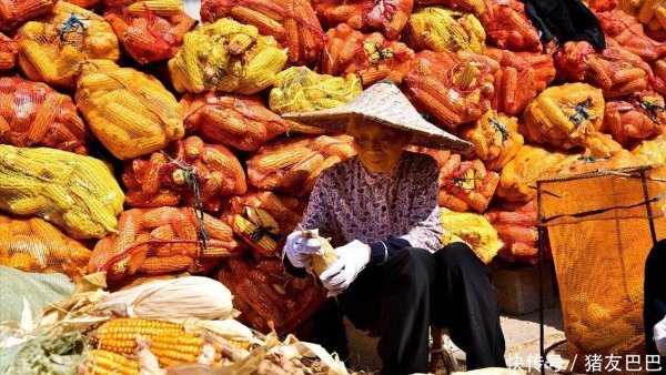 九融配资端 2025年9月3日：调价后92,95汽油价格；玉米价格“降温”，易跌难涨！